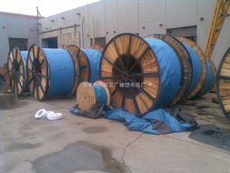 鍍錫電纜與JHS橡塑電纜的特點與應(yīng)用